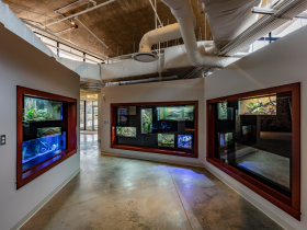 Timberlake Construction project - Oklahoma City Zoo: Exhibition Africa