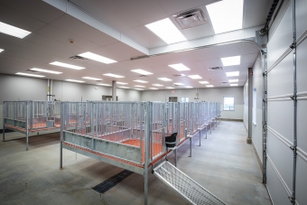 Timberlake Construction project - Langston University Goat Research Facility